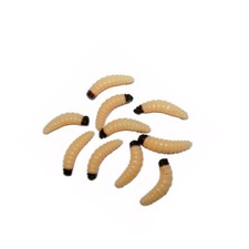 künstliche Bienenmaden JUMBO