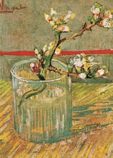 Kunstkarte Vincent van Gogh "Mandelblütenzweig"