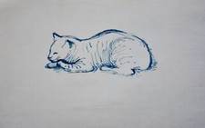 Alte Zeichnung Tinte auf Papier Tierzeichnung Katze Kater