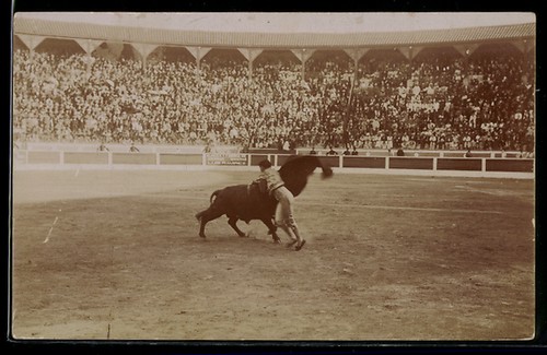 Foto torero beim stierkampf - torero,