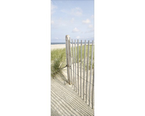 Glasbild sand sedge gla662 - ii,
