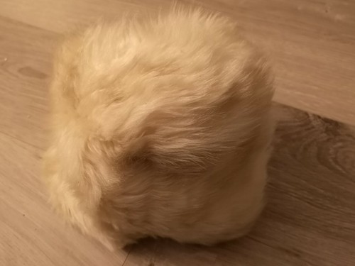 Modischer alter damen fellhut - alter,