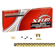 X-Ring Kette Honda CBR 600 F, Bj. 95-96 (PC31) XAM extra verstärkt GOLD