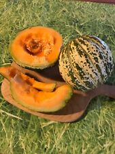 Samenfeste  Mini Zuckermelone