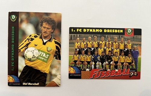 Dynamo dresden panini - dynamo,
