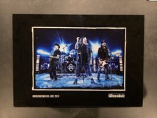 Böhse ONKELZ Acrylbild HOCKENHEIMRING 2014 Nichts ist für DIE Ewigkeit ORIGINAL