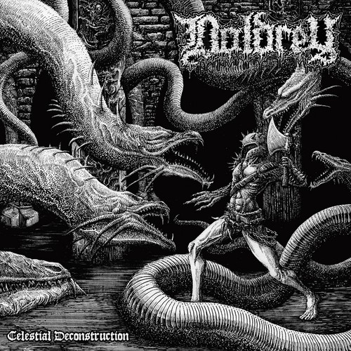 Doldrey celestial - doldrey,