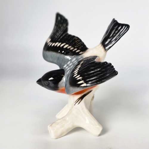 Goebel dompfaff bullfinch - goebel,