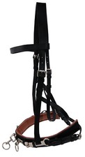 Kappzaum Leder Nasenriemen