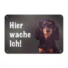 Dackel/Teckel Langhaar Schwarz