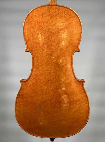 Vogelaugenahorn cello paul - vogelaugenahorn,