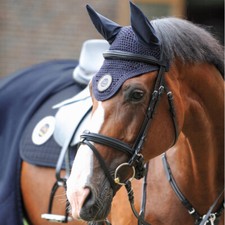 Kavalkade trense filip - %,
