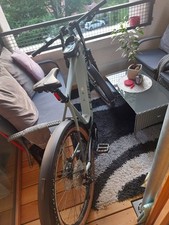 herren 29 zoll e mountain bike gebraucht