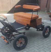 Buggy - Minishetty/Shetty - 12