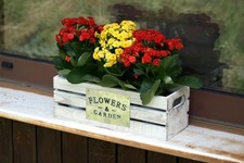 3 Pflanz Töpfe aus Metall in