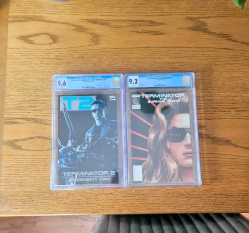 Terminator the burning - terminator,
