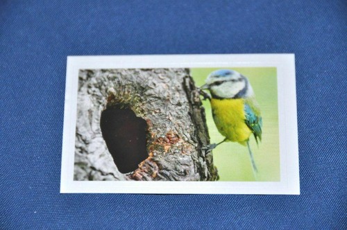 Rewe abenteuer tierwelt - rewe,