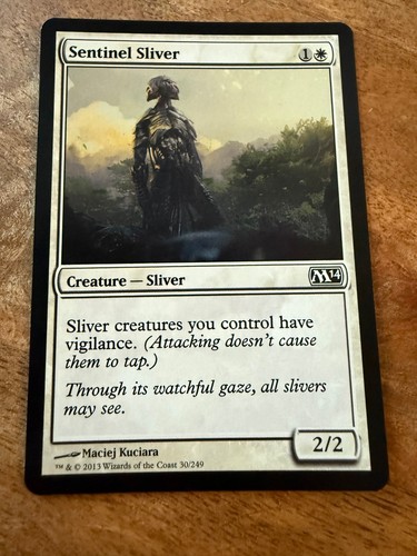 Sentinel sliver - sentinel, /