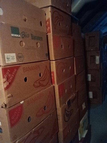 Bananenkisten zum umzug - bananenkisten,