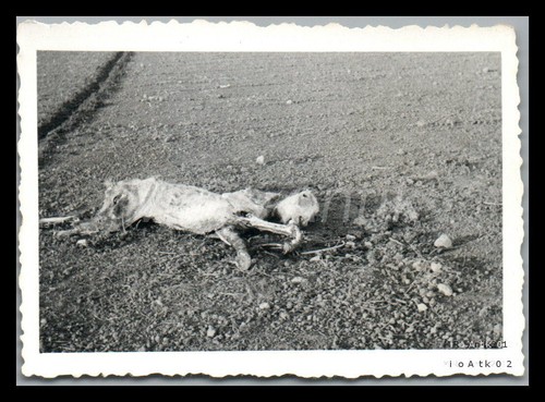 Foto wk2 funker berndt - wk2,,