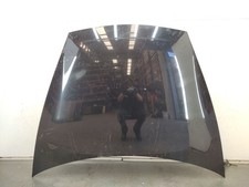 95551101100 MOTORHAUBE /