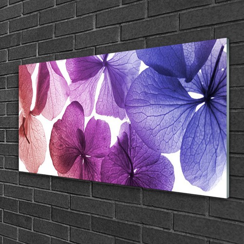 Glasbilder 100x50 wandbild - 100x50,