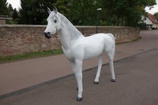 Pferd lebensgroß Schimmel