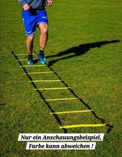 Koordinationsleiter, 9 Sproßen mit Tasche, guter Zustand