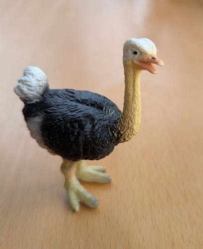 Schleich tiere strauß - schleich,