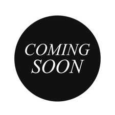 Schlachtfest Ford Focus 1,6 Bj.1999 Ausschnitt vom Einstieg Nr.175/24