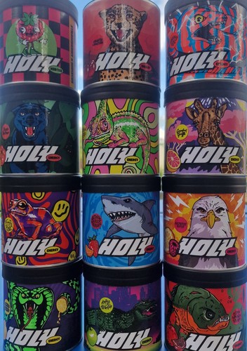 Holy energy icetea - holy, neu