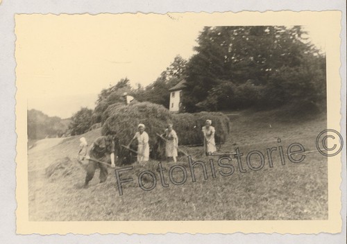 Foto heuernte mit - heuernte,