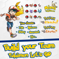 CUSTOM TEAM 6 Pokemon Shiny