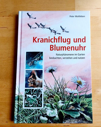 Kranichflug und blumenuhr - und,