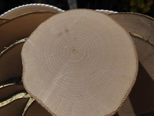 10 x Holzscheiben Astscheiben
