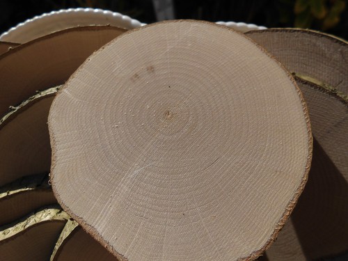 Holzscheiben astscheiben - 10,