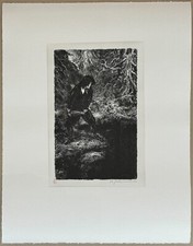 A. Paul Weber, Der
