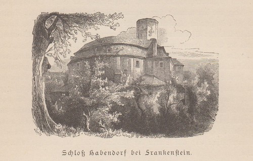 Frankenstein zabkowice slaskie - zabkowice,