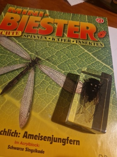 Mini biester schwarzer - biester,