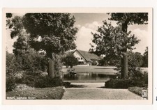 Berlin AK Tiergarten um 1945