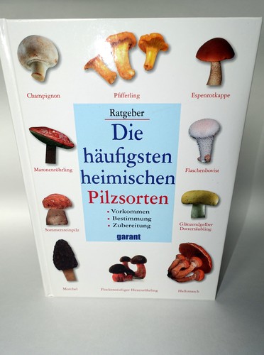 Buch die häufigsten - die,