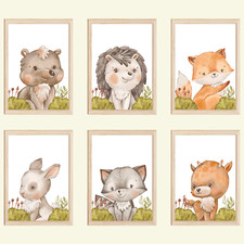 Waldtiere 6er Set Bilder Bär