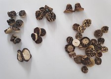 Alte Hirschhornknöpfe teilweise geschnitzt Konvolut
