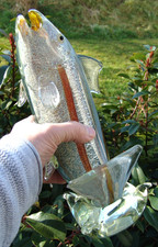 GROSSE VINTAGE MURANO GLAS