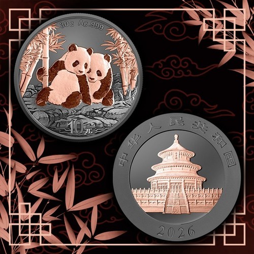 Silbermünze china panda - silbermünze, 30