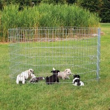 Freilaufgehege kleine hunde - freilaufgehege,