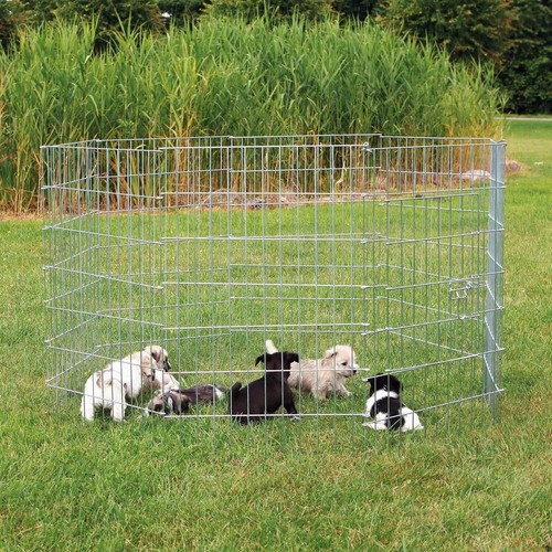 Freilaufgehege kleine hunde - freilaufgehege,
