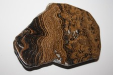 Stromatolith Bolivien (ES 39 A )
