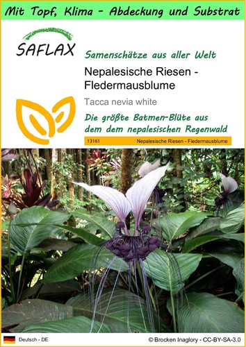 Saflax garden go - saflax, to