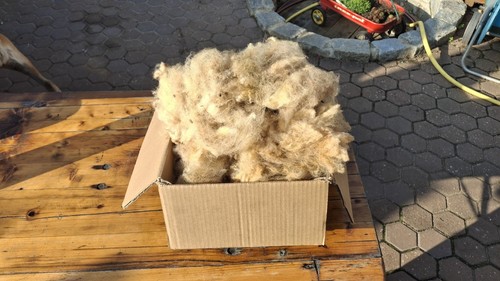 Schafwolle unbehandelt 500 - unbehandelt,
